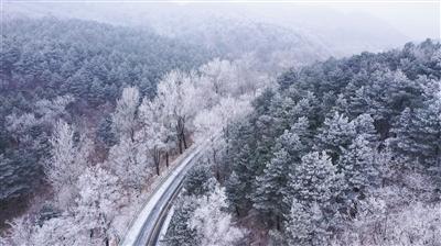 劳动者可以提前多少天解除劳动合同游戏画面